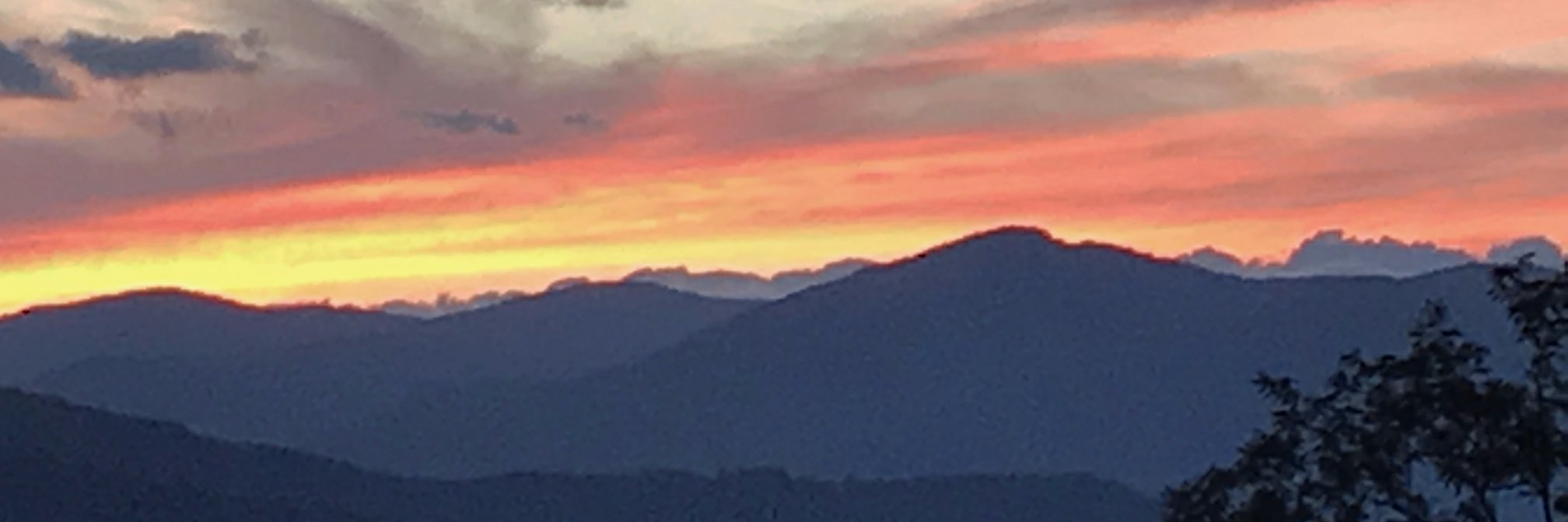 Anne Glover 🏳️‍🌈 banner