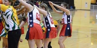 Netball Texas USA banner