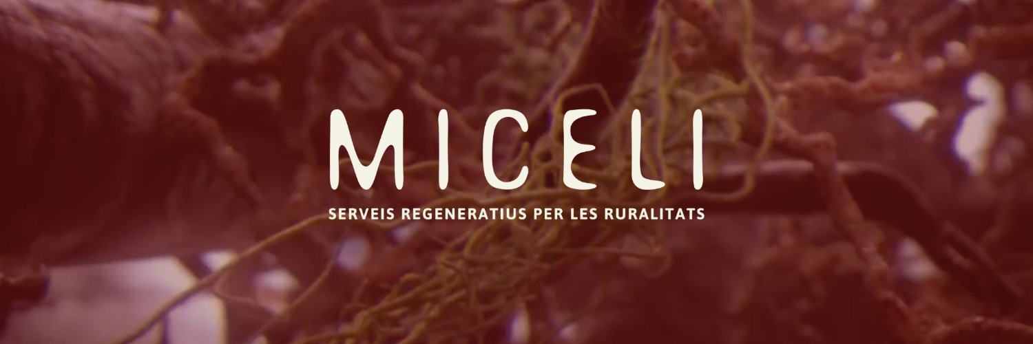 Miceli Coop banner