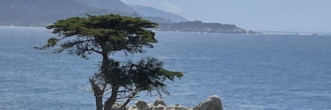 Drea312's profile banner image
