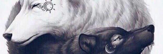 lobosolitario banner