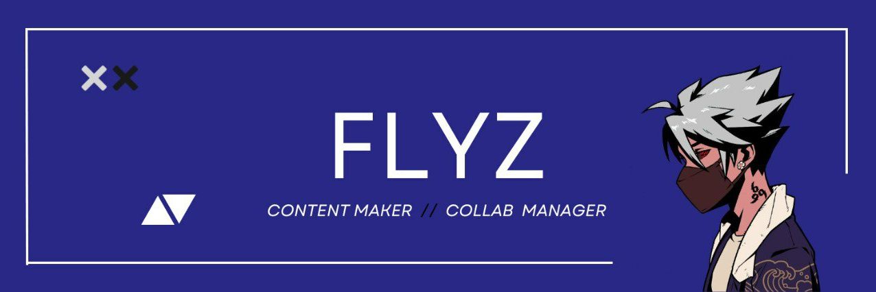 Flyz banner