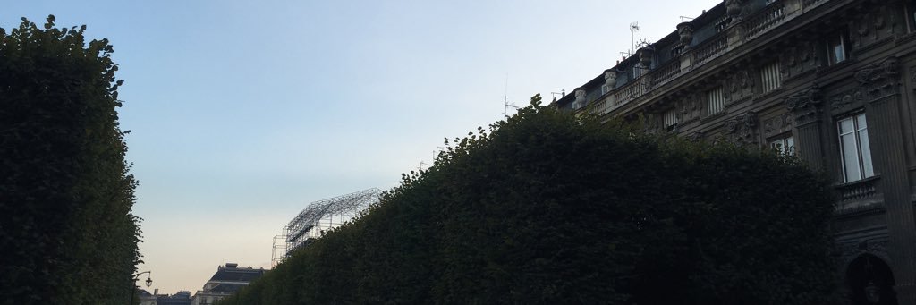 Jordan Yee banner