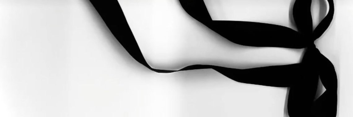 aerigiis's profile banner image