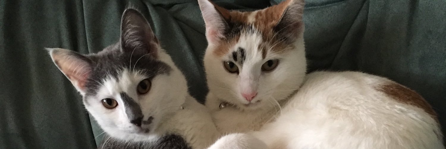 CarlyRHart's profile banner image