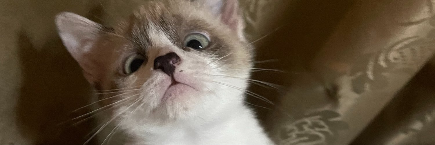 dudsz_10's profile banner image