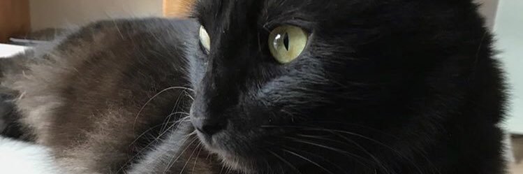 micarodriguez89's profile banner image