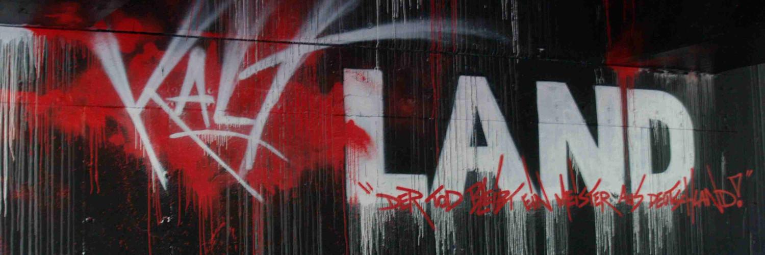 weezerle's profile banner image