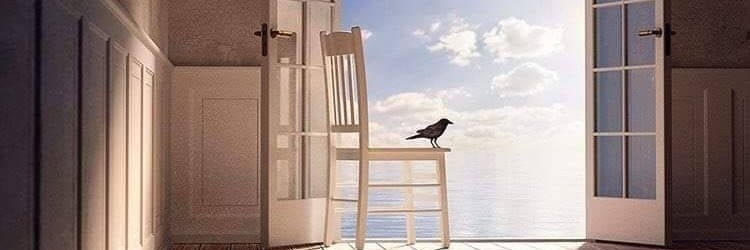 عزيزة أحمد العمر banner