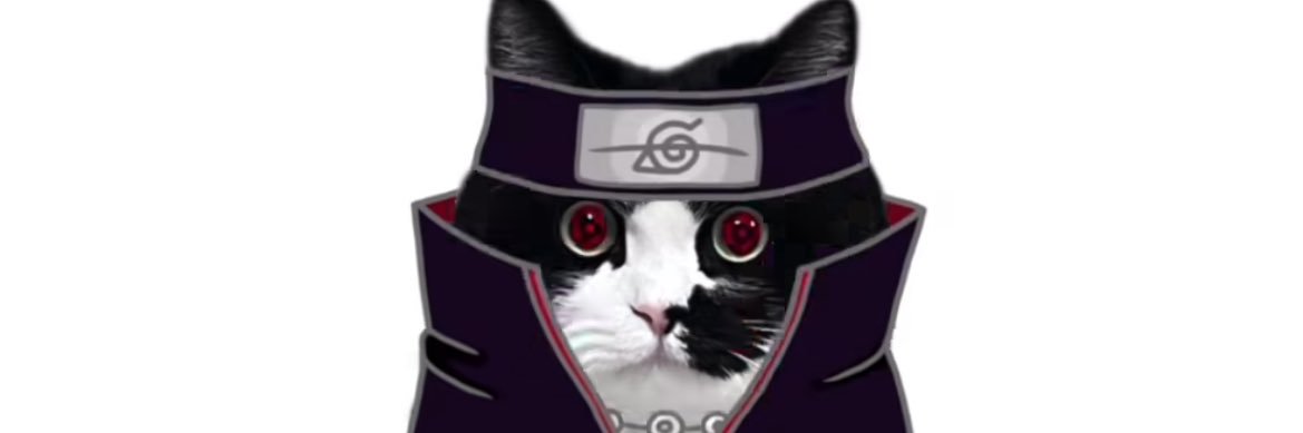 syaifuladi31's profile banner image