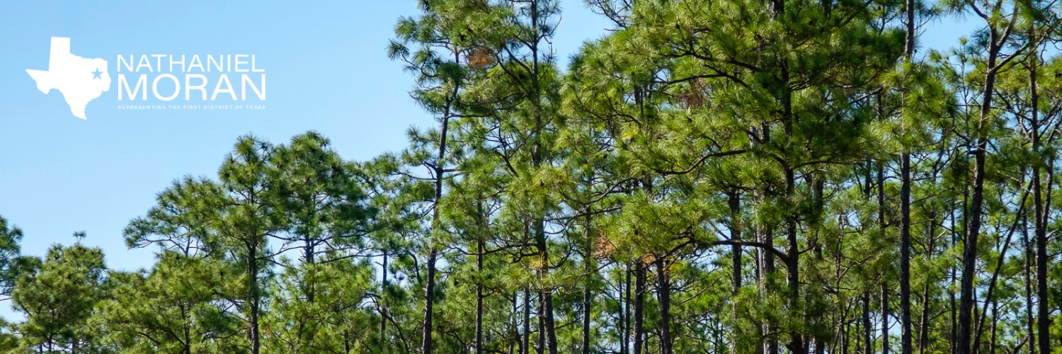 Congressman Nathaniel Moran banner