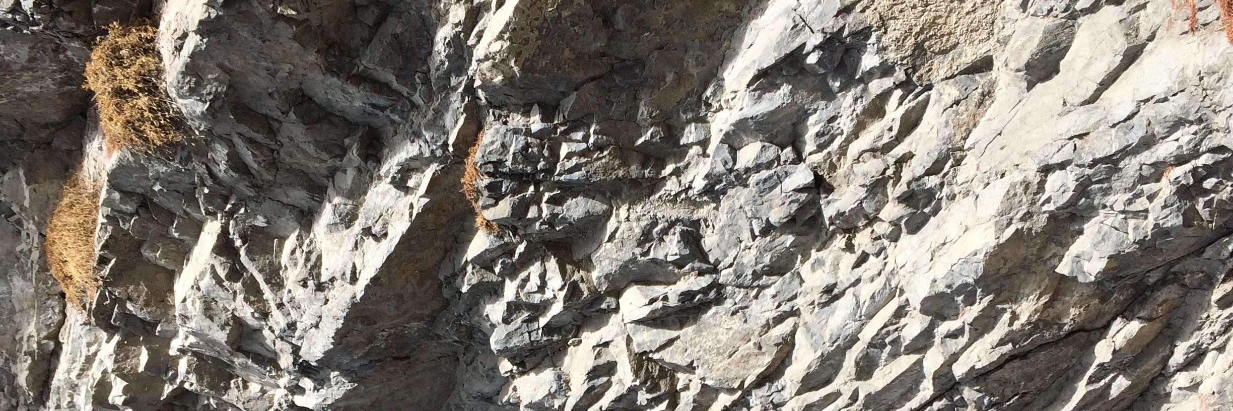 Matteo Valsecchi banner