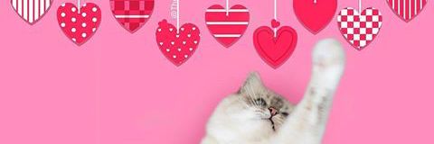 MarceMain's profile banner image