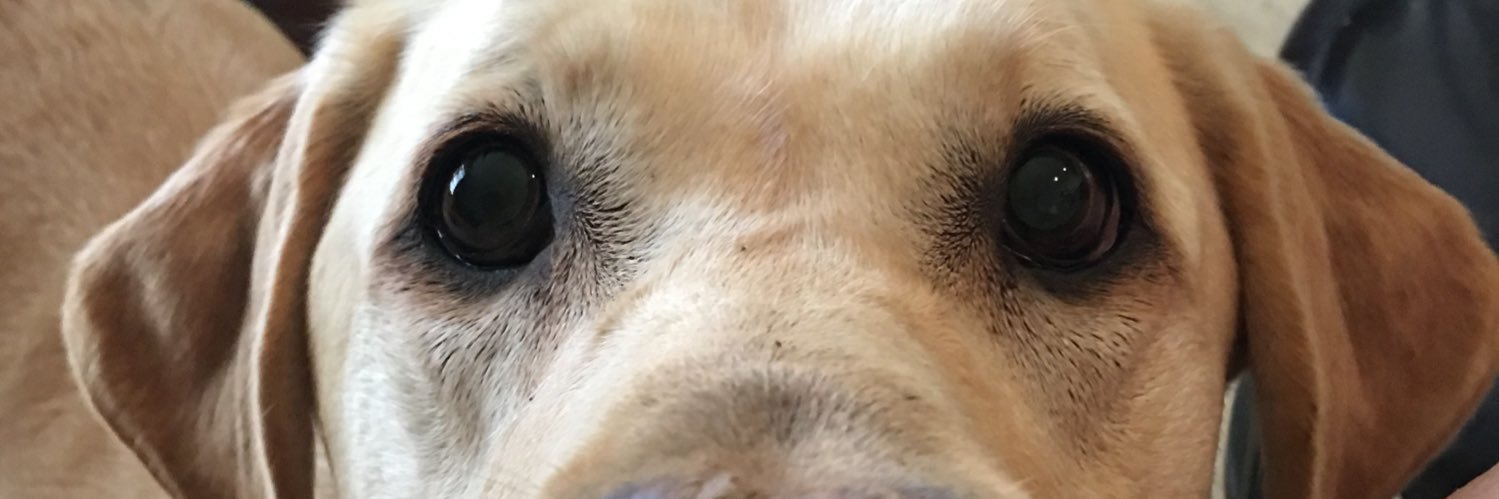 amanda3n0's profile banner image