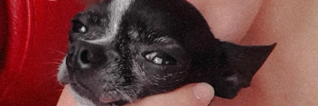 BlancoPalmer's profile banner image