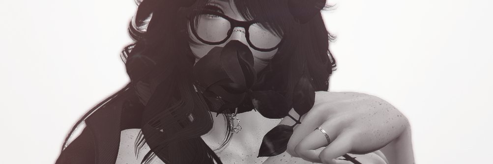 June🐾 banner