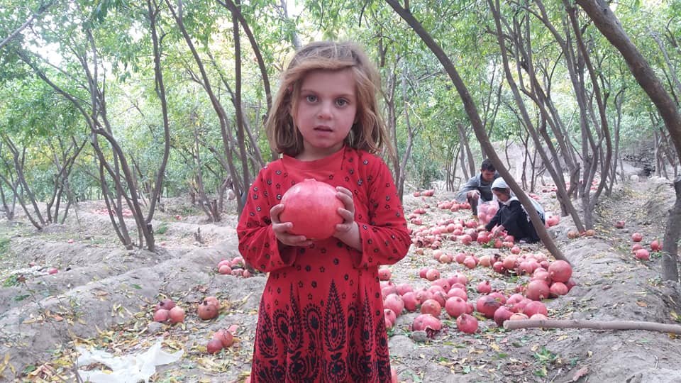 haroonnasir3's profile banner image