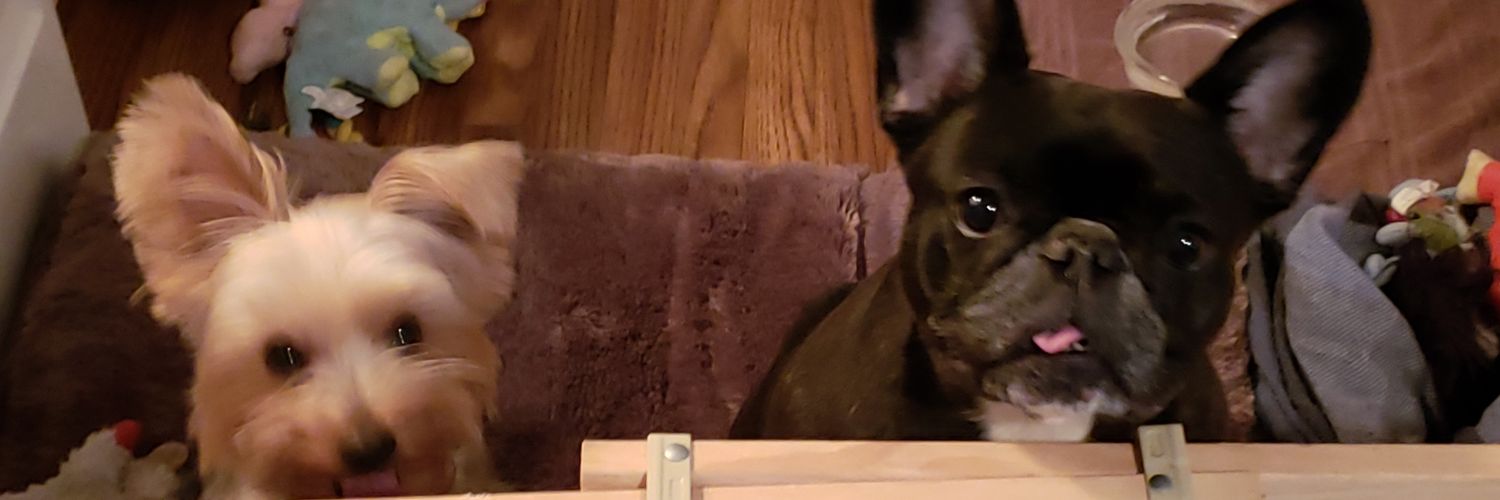 Xuxanna (#ImWithHer)🗽 🌊💙 🐾 banner