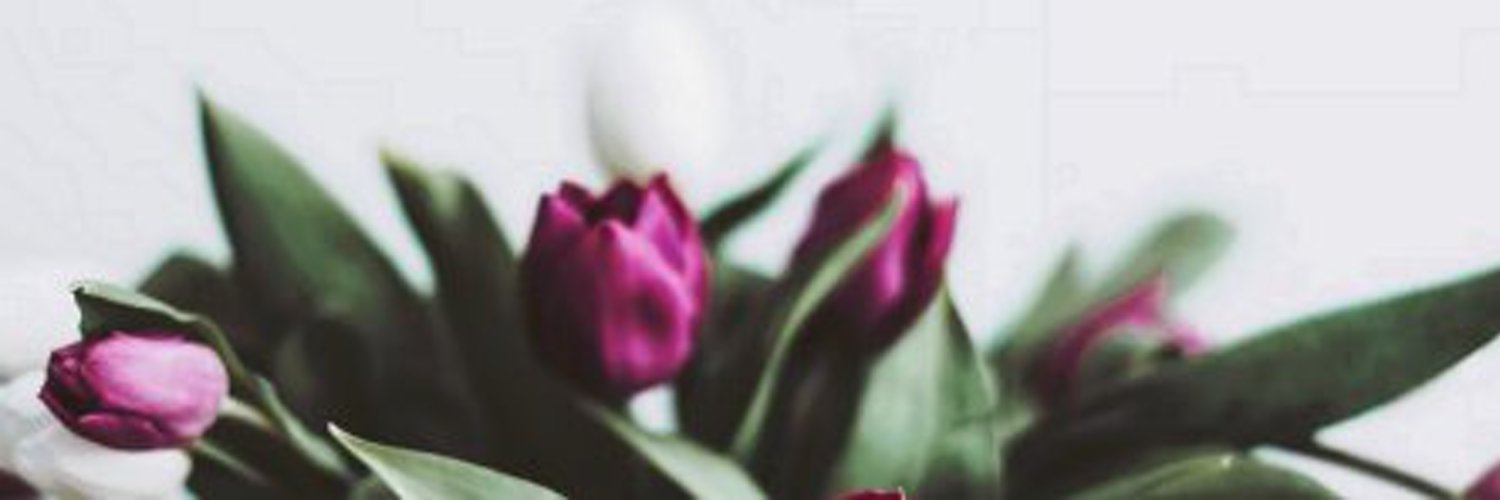 Harriet Bokep Sex Skadal xXx Porno Terbaru (@Harriet32407642) / Twitter