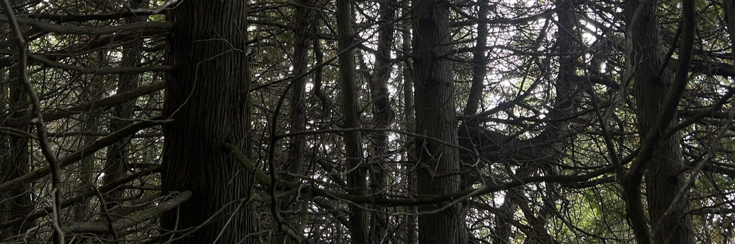 unfriendlyp_'s profile banner image