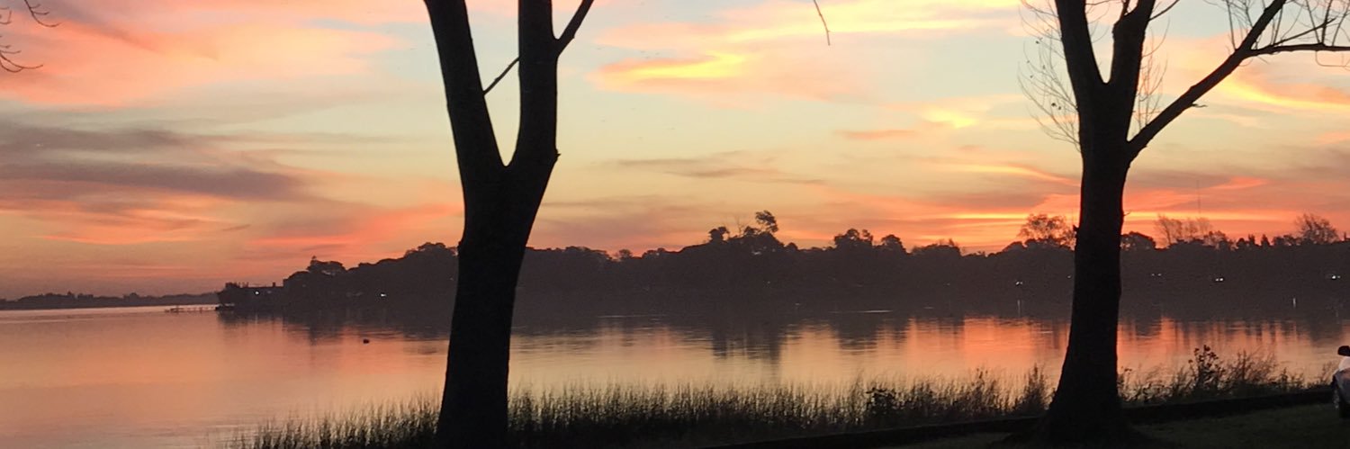 rovaninetti's profile banner image