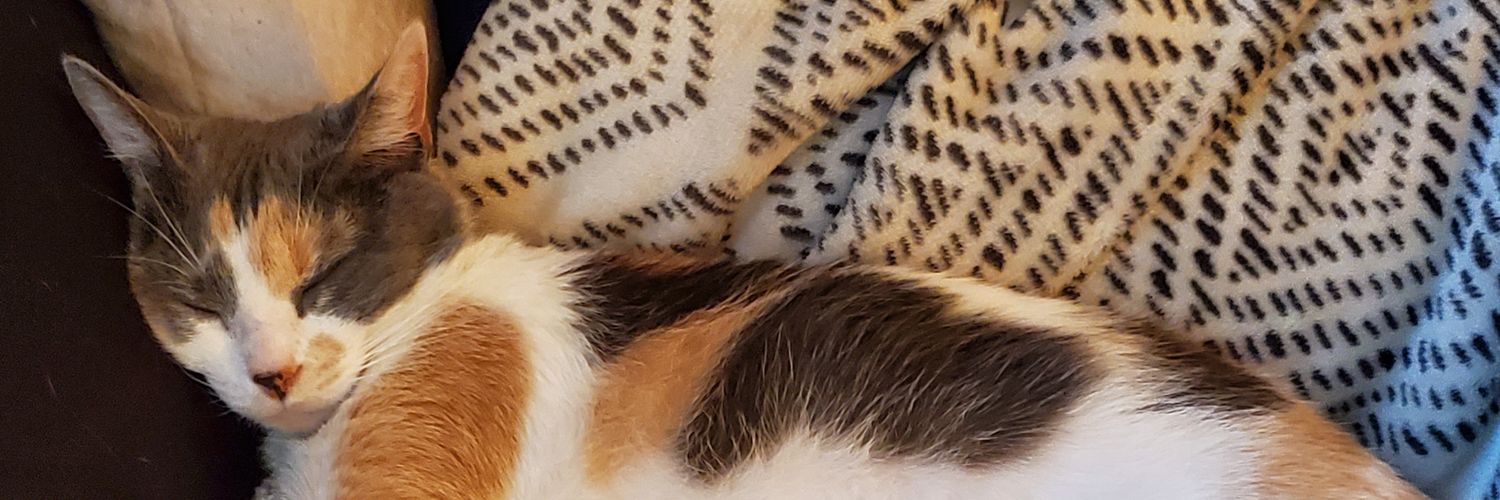 shutupfish's profile banner image