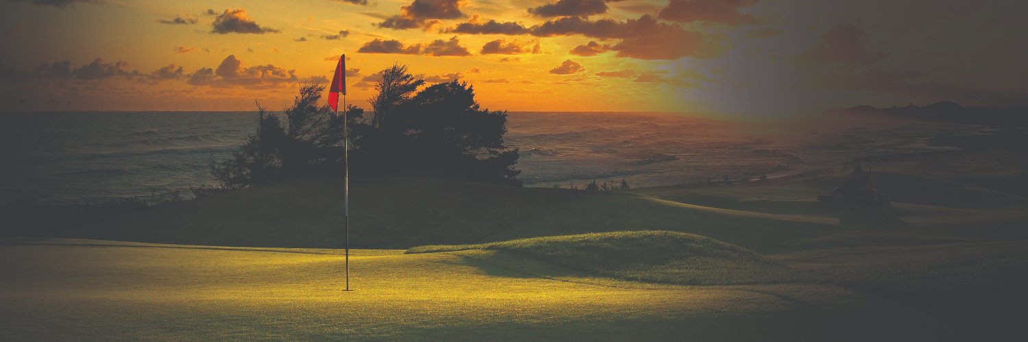 Toro Golf's banner