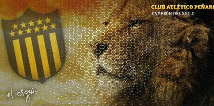 Danilo Gallero banner