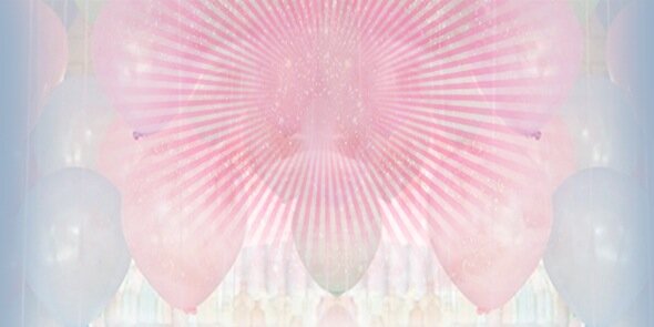 PoppyAvenue1's profile banner image