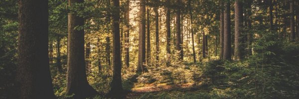 CaptainGFY Profile Banner