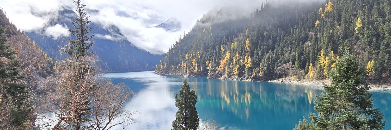 a better year banner