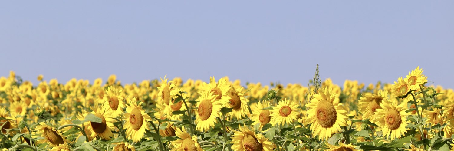 flora🇨🇦🇨🇦🇨🇦 banner