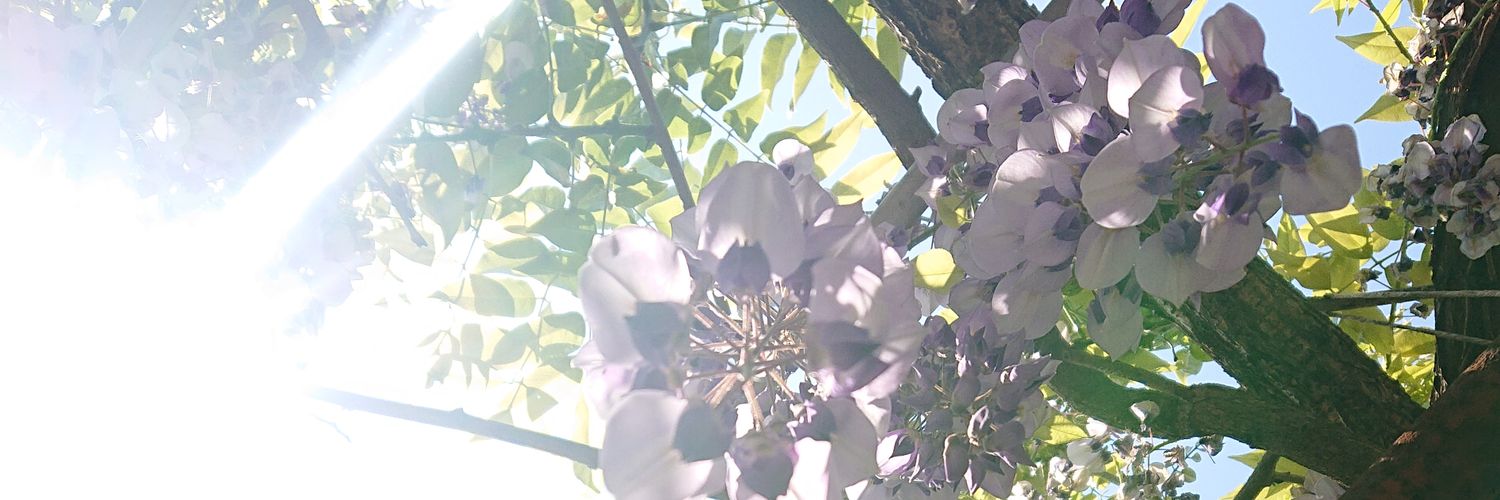 heortee's profile banner image