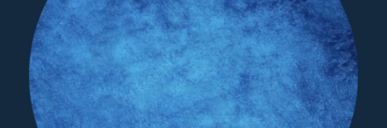 dippygeezy's profile banner image