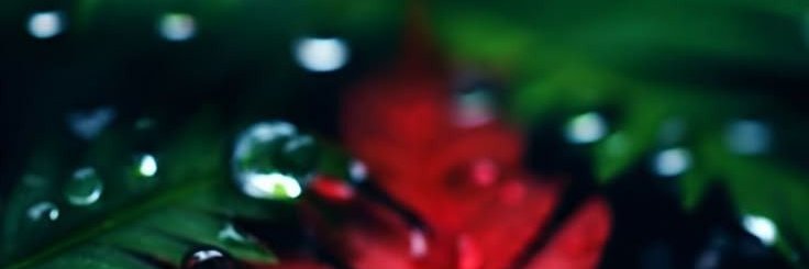 Xhannangj1's profile banner image