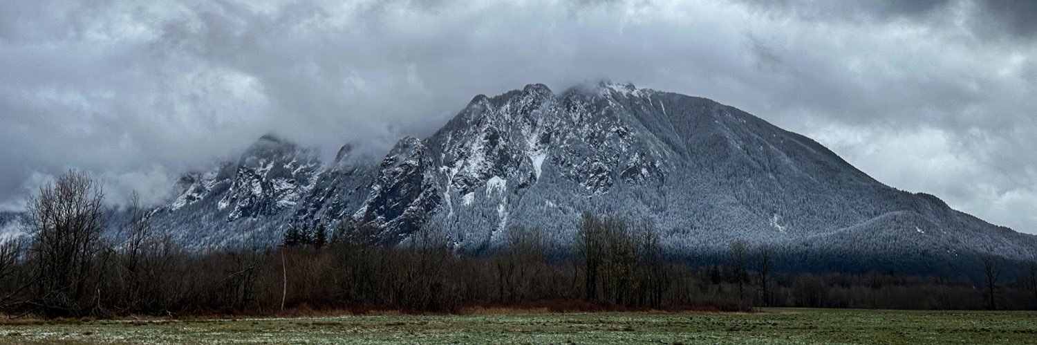 Steven Miller banner