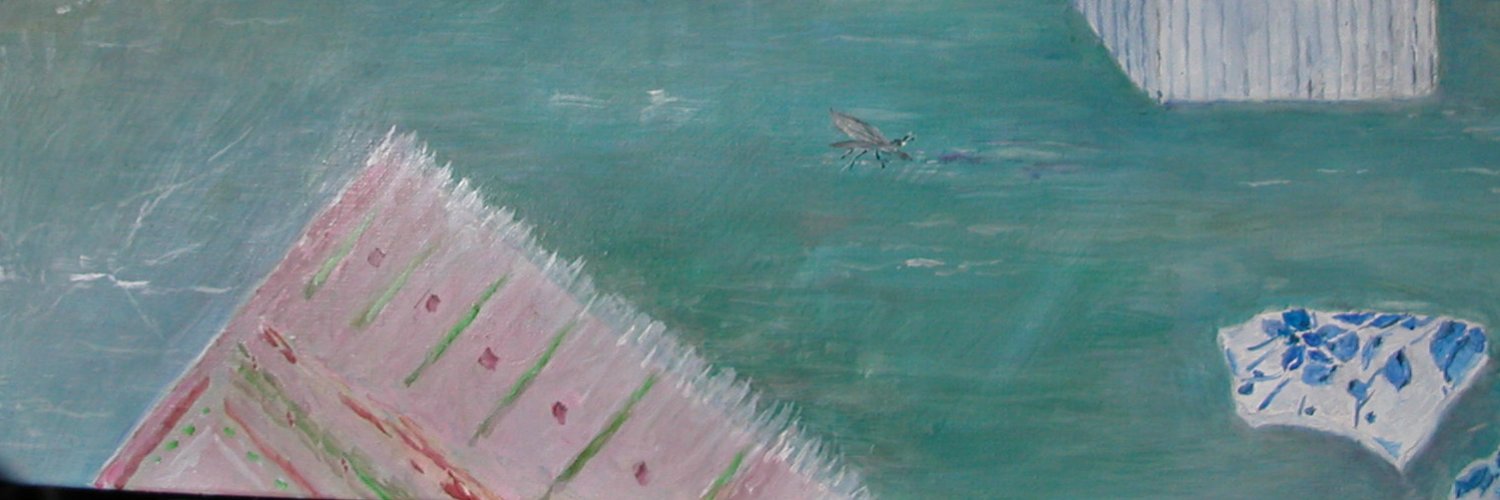 nennoch's profile banner image