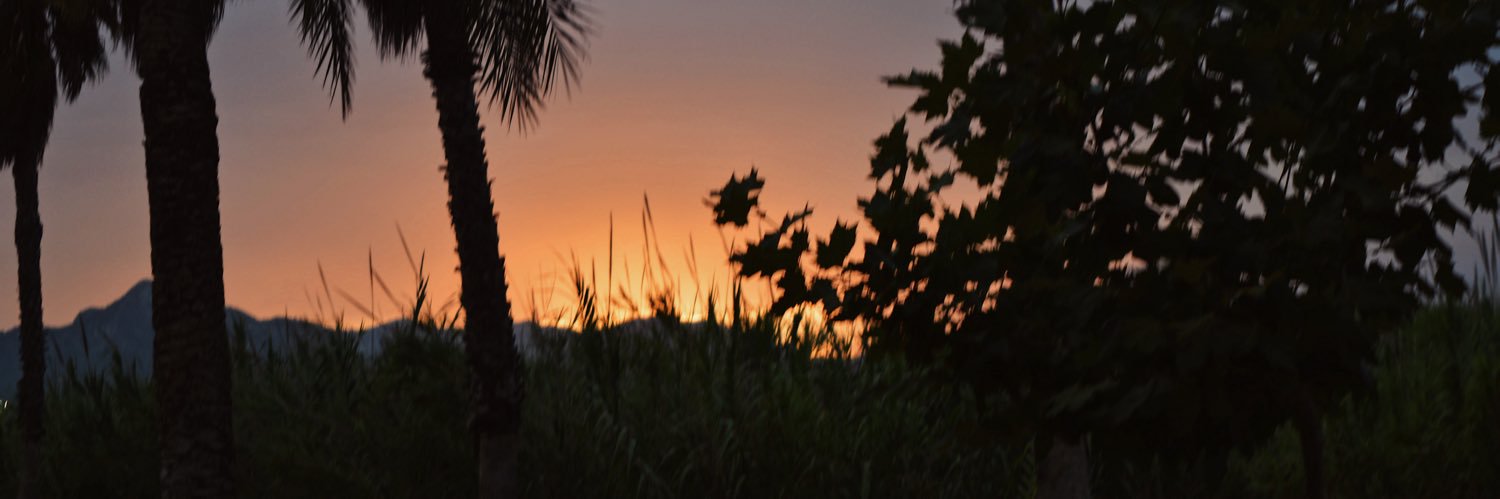 olgajimerodri's profile banner image