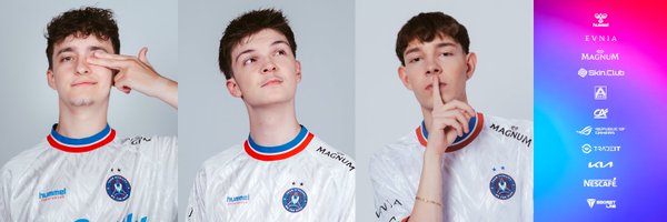TeamVitality Profile Banner
