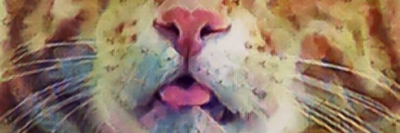 cat3losser's profile banner image
