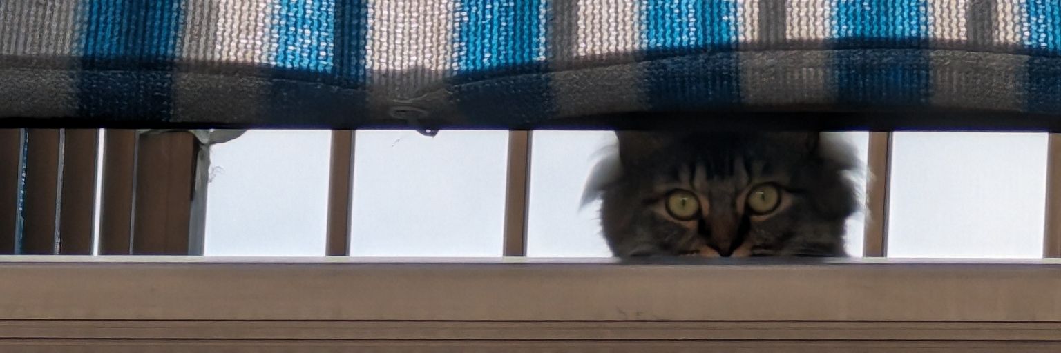 あーか🐱 banner