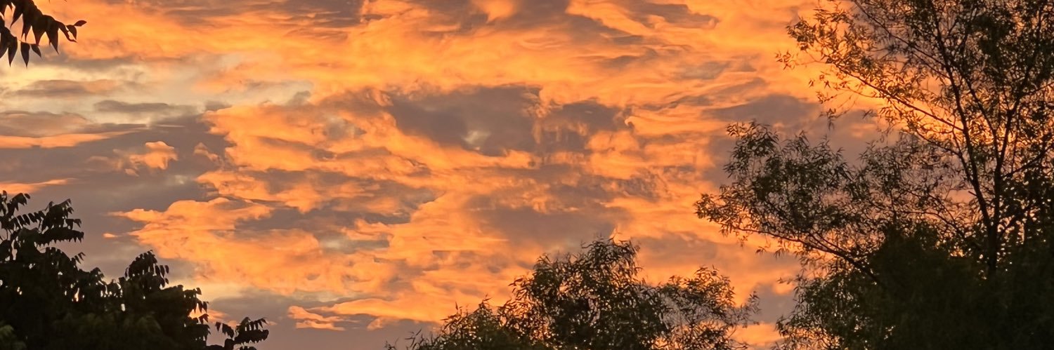 PeaceandLove1776 banner