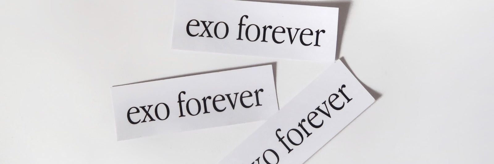 dohcaqvly banner