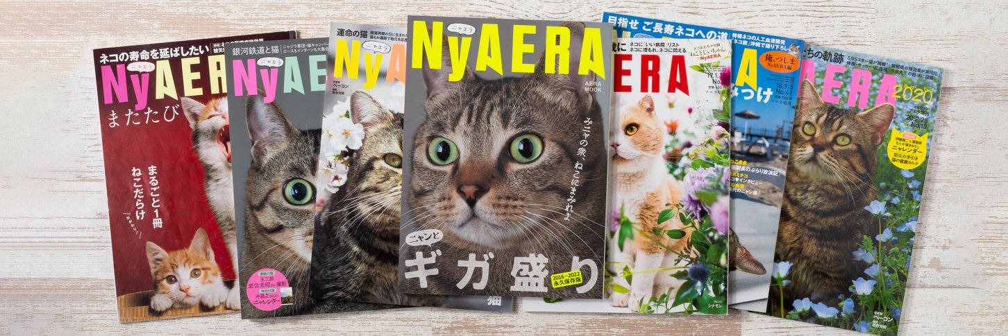 NyAERA banner