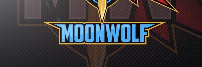 MoonWolf Entertainment banner