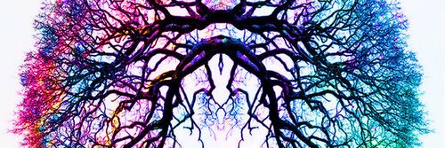 SarcoidosisSOS's profile banner image