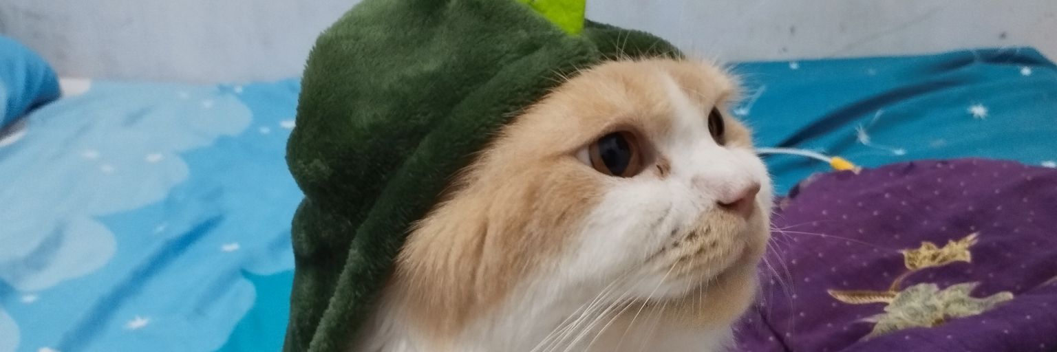 Ci banner