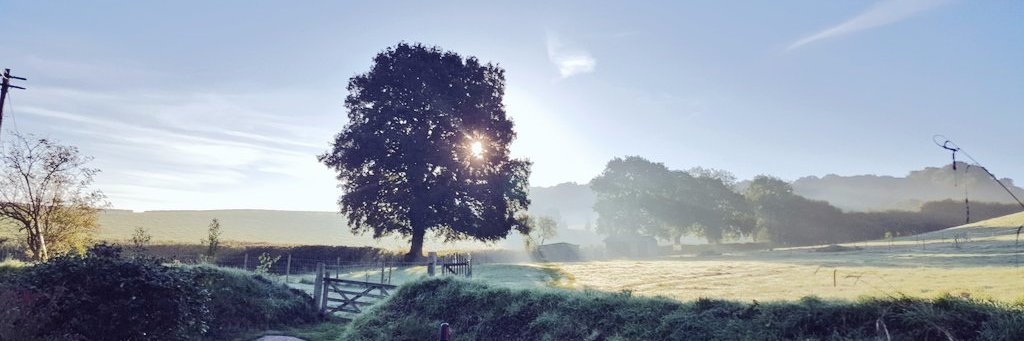 #sentfromdevon banner