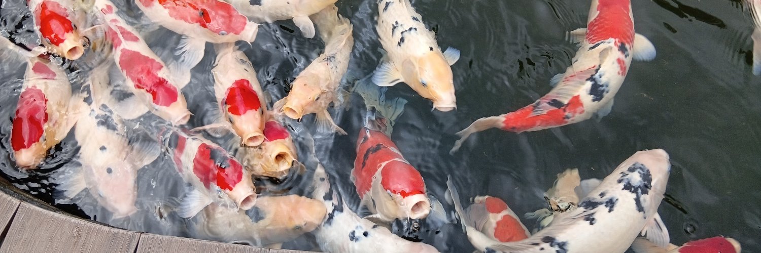 Rahman 🍉🫂 banner