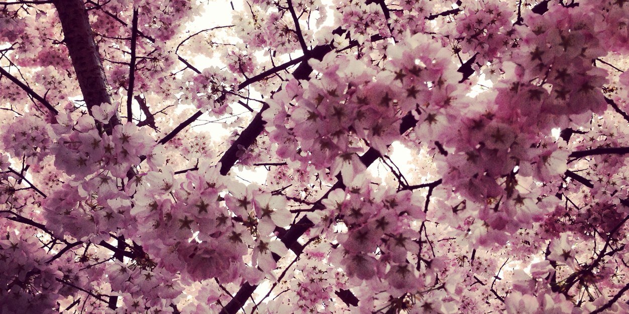 IFTHISISNTNICE's profile banner image